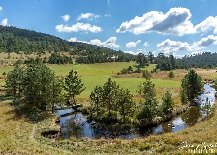 Konstantin & 아파트