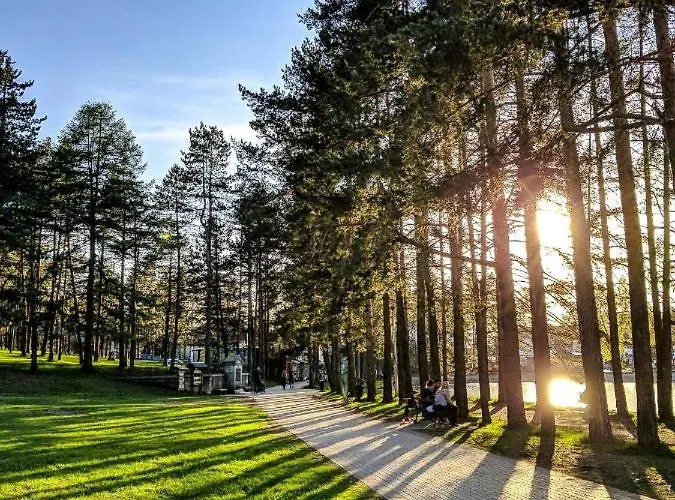 Konstantin & 아파트 *